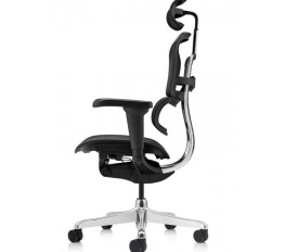 Scaun Ergohuman 2 Ultra 30.12.92, spatar reglabil, tetiera reglabila 2D, suport lombar